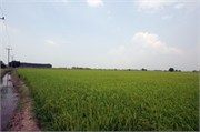 15655_Thailand