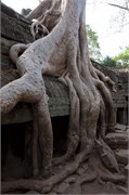 16702_Angkor_ThomB