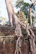 16910_Angkor_ThomA
