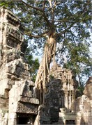 16917_Angkor_ThomA