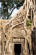 16926_Angkor_ThomA
