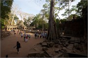 16674_Angkor_ThomB