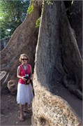16747_Angkor_ThomB