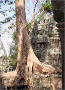 16906_Angkor_ThomA