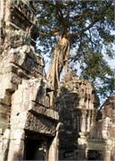 16919_Angkor_ThomA