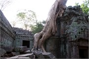 16945_Angkor_ThomA
