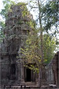 16948_Angkor_ThomA
