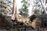 16950_Angkor_ThomA