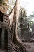 16951_Angkor_ThomA