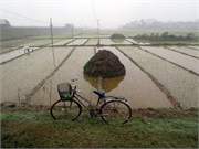 21212_HaLongST