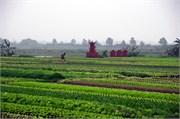 21309_HaLongST