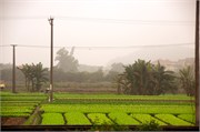 21315_HaLongST