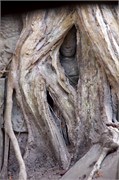 16930_Angkor_ThomA