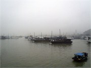 21252_HaLongST
