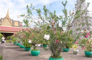 18674_RoyalPalaceA