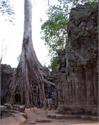 16938_Angkor_ThomA