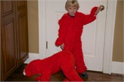 33741_Elmo