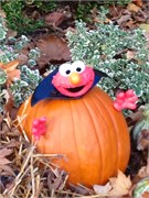 33913_Elmo