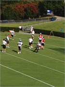30087_Panthers