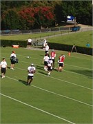 30088_Panthers