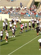 30089_Panthers