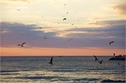 34208_Venice