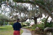 34234_Ringling