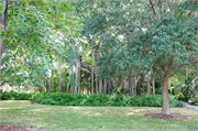 34235_Ringling