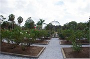 34237_Ringling