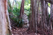 34302_Ringling