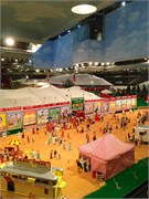 34319_Ringling