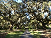 34513_Brookgreen
