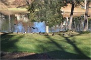 34736_Hudson2