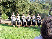 101_WeddingCB