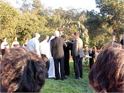 55_WeddingCB