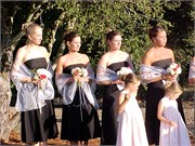 7_WeddingCB
