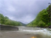 TygartArden19