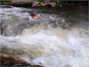 Chattooga318