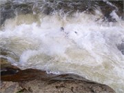 Chattooga322