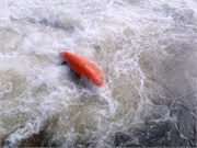 Chattooga328