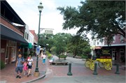 Savannah_14