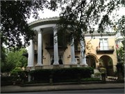 Savannah_18
