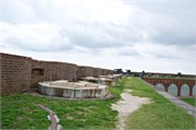 Savannah_22