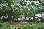 Savannah_35