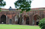 Savannah_38