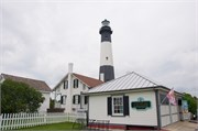 Savannah_43