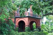 Savannah_46