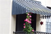 Savannah_48