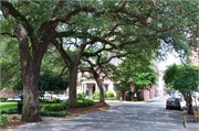 Savannah_53