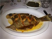 Savannah_59